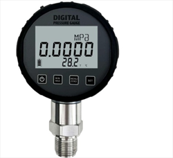 Đồng hồ đo áp suất chuẩn điện tử KDS DPG285